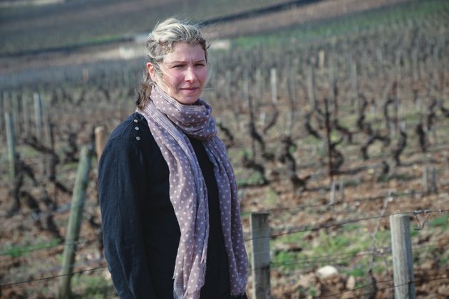 Therese Besancenot in Beaune Bressandes Vineyard